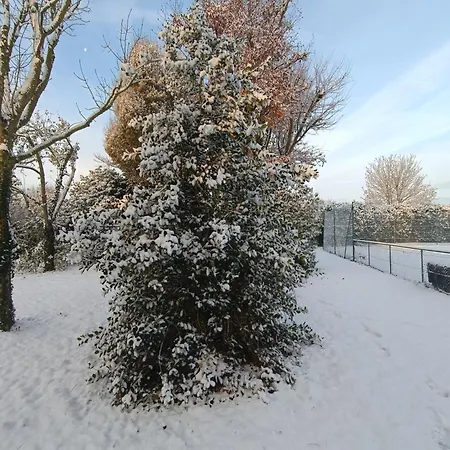 Charmant Logement Dans Un Ecrin De Verdure Le Manoir  Exterior photo
