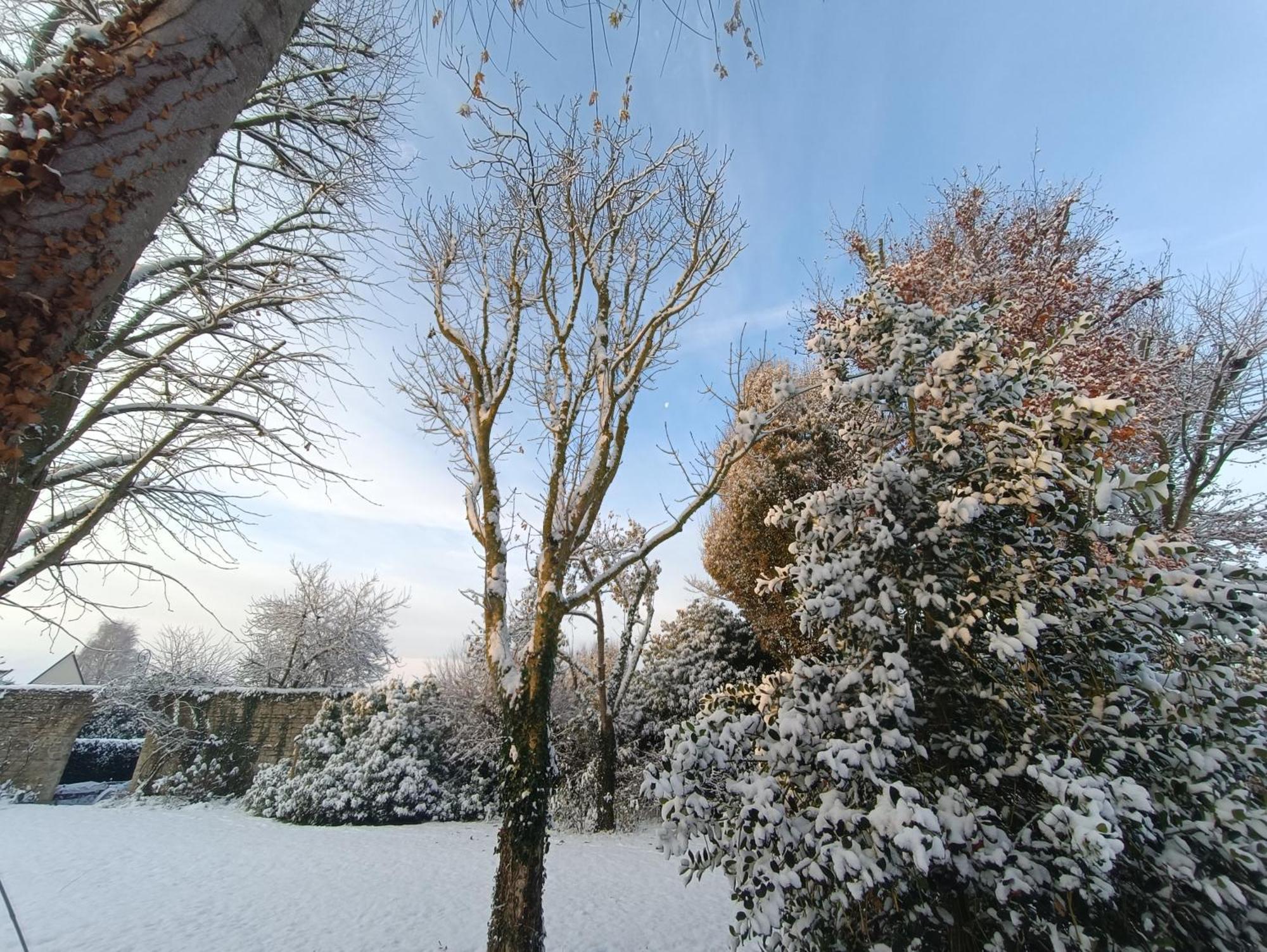 Dans Un Ecrin De Verdure Le Manoir (Calvados)