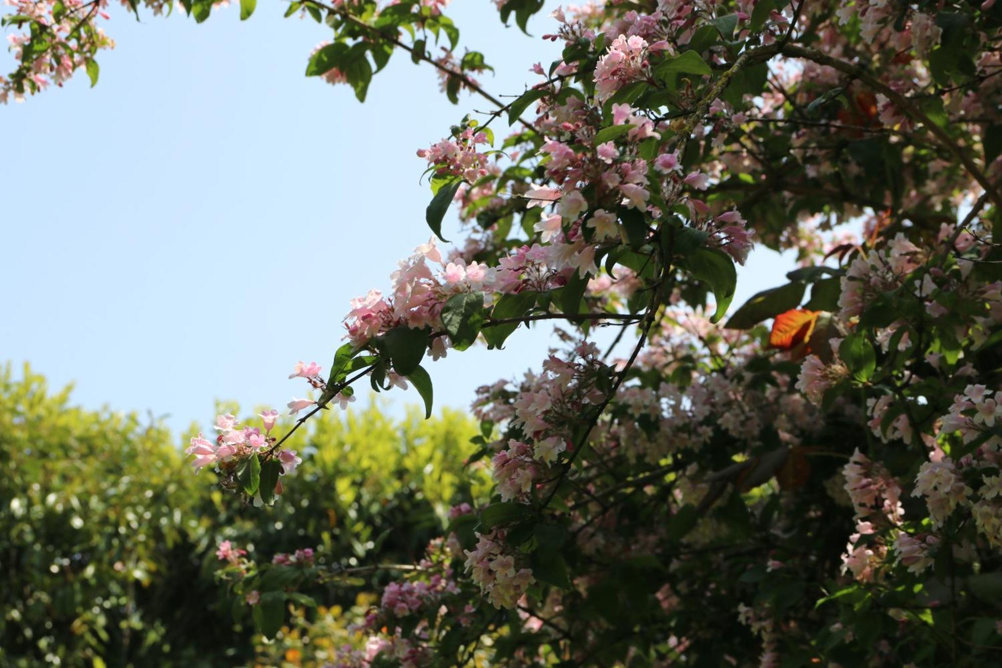 Dans Un Ecrin De Verdure
