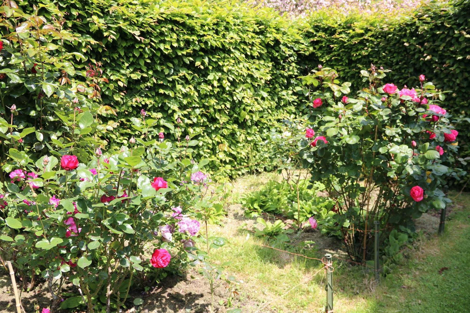 Dans Un Ecrin De Verdure Apartment