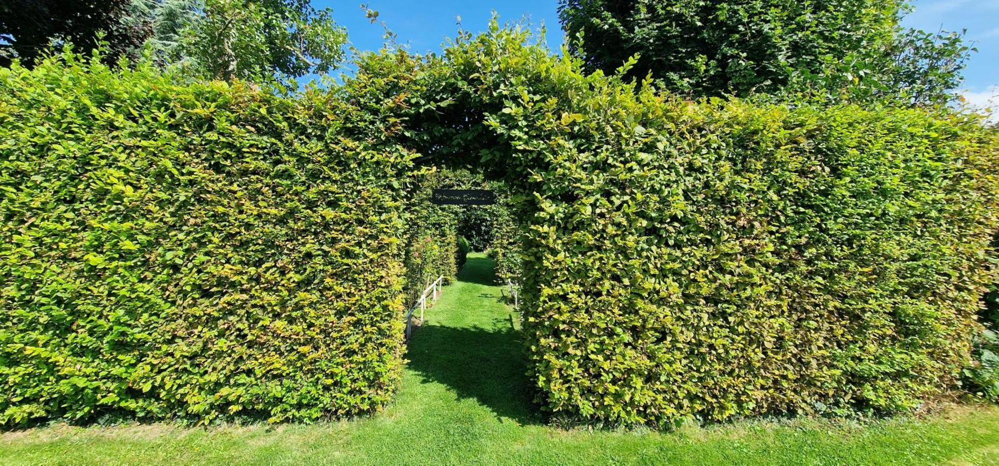 Dans Un Ecrin De Verdure Apartment *